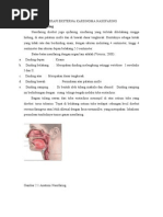 Download Teknik Radioterapi Eksterna Karsinoma Nasofaring by vd_m9 SN78624953 doc pdf