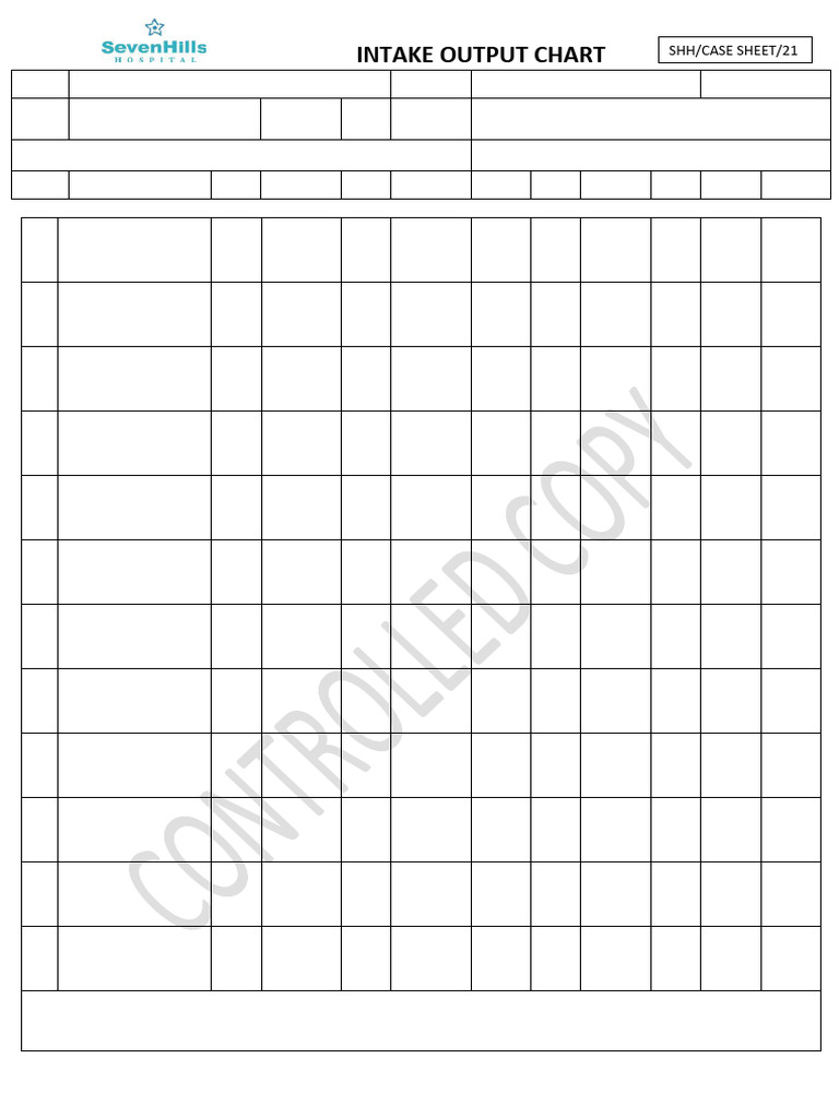 Shhcase Sheet21 Intake Out Put Chart | PDF