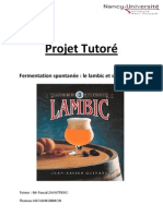 projet_lambic