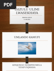 Umlando Kamufi 2021