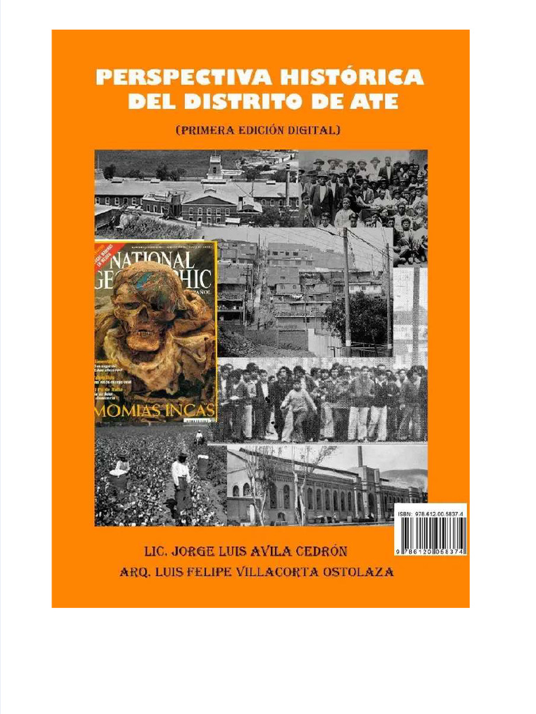Pdf perspectiva historica del distrito de ate jorge avila luis felipe