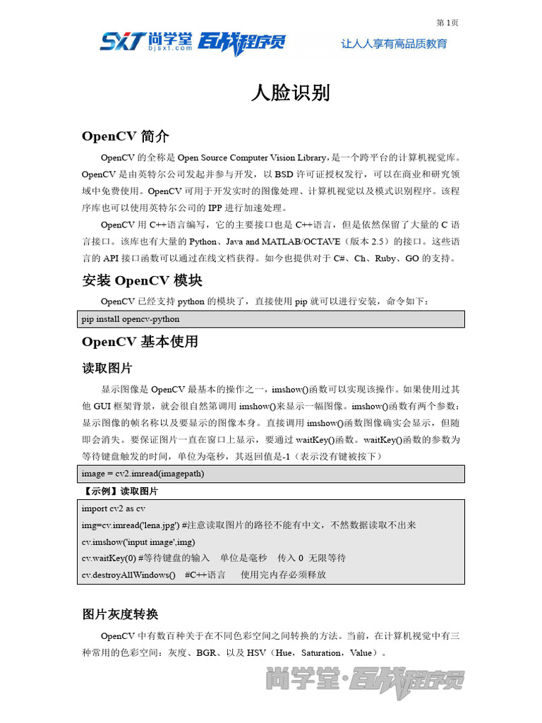 人脸识别| PDF