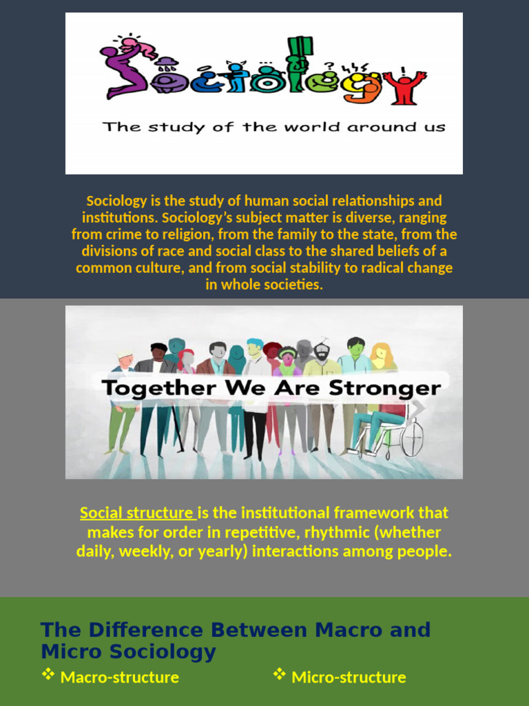 Understanding Sociology: Macro vs Micro | PDF | Politics