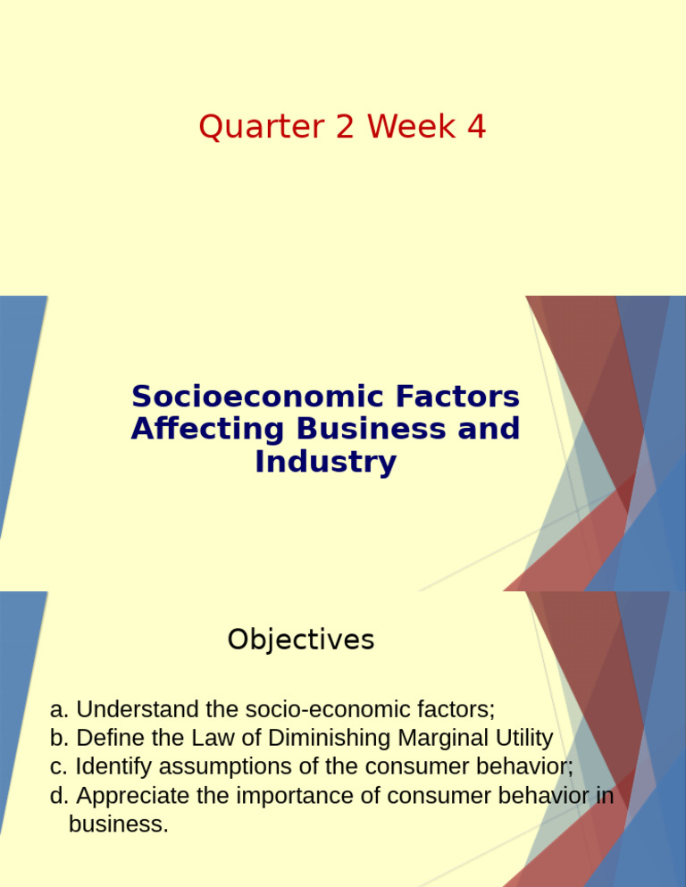 Socioeconomic Factors in Business | PDF | Utility | Fiscal Policy