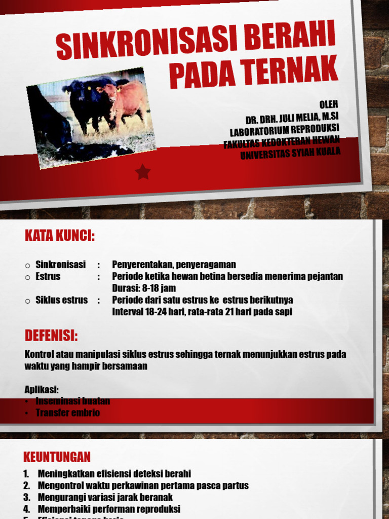 Sinkronisasi Berahi Ternak Sapi | PDF | Kesehatan Holistik