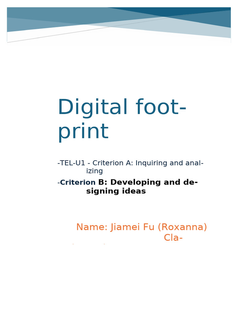 Jiamei Fu Criterion B | PDF | Cyberspace | Information Technology