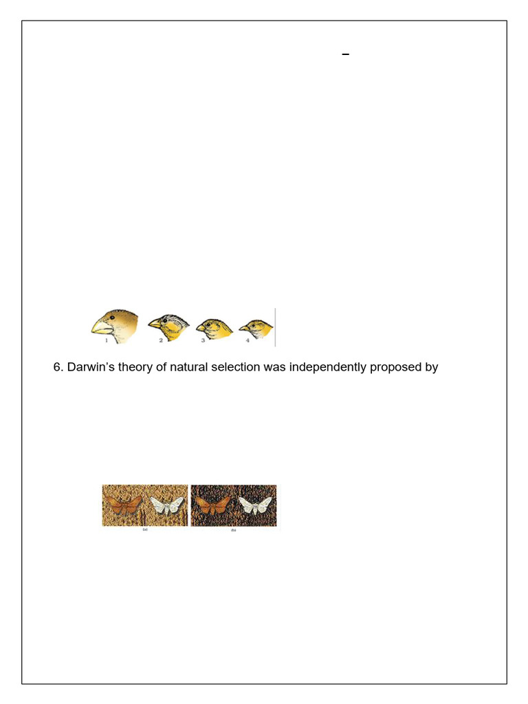zak-2-revision-test-5-pdf-natural-selection-evolution