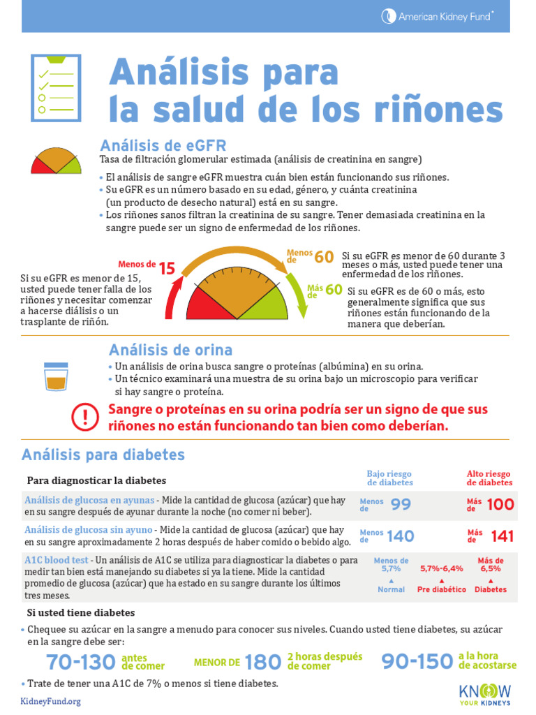 Tests for kidney health fact sheet en espanol 0 pdf diabetes