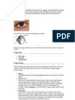 Download Mata Adalah Organ Penglihatan Yang Mendeteksi Cahaya by Ruri Nindi SN78641600 doc pdf
