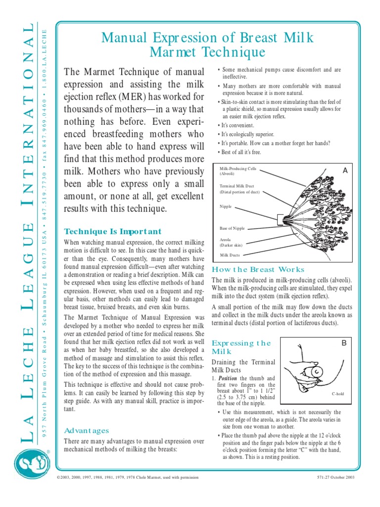 Manual Expression of Breast Milk Marmet Technique | PDF | Breast ...