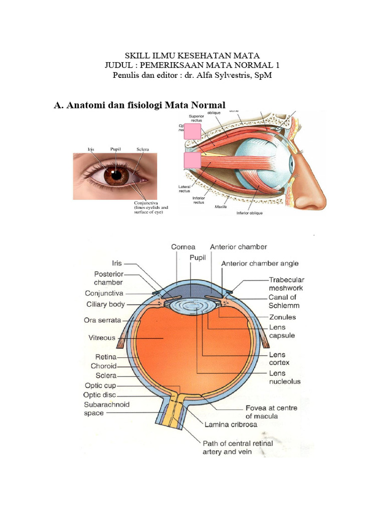 Jarak Terdekat Penglihatan Normal | PDF