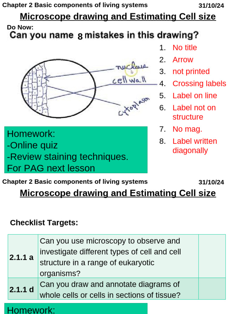 Calibrating Microscopes for Cell Size | PDF | Microscope | Laboratory ...
