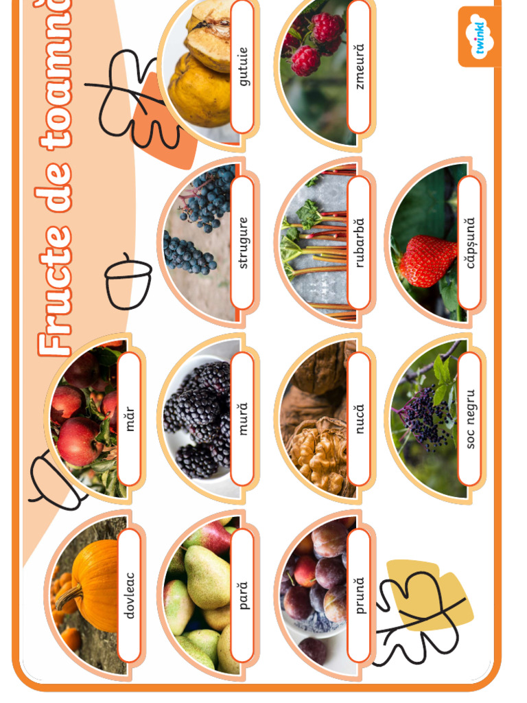 Fructe | PDF