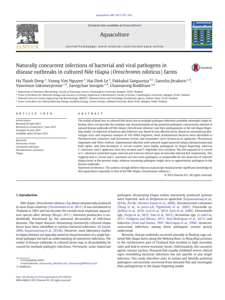 Concurrent Infections in Nile Tilapia Farms | PDF | Polymerase Chain ...
