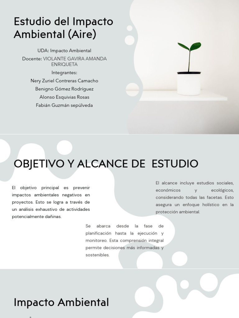 Estudio Del Impacto Ambiental | PDF | Entorno natural | Evaluación