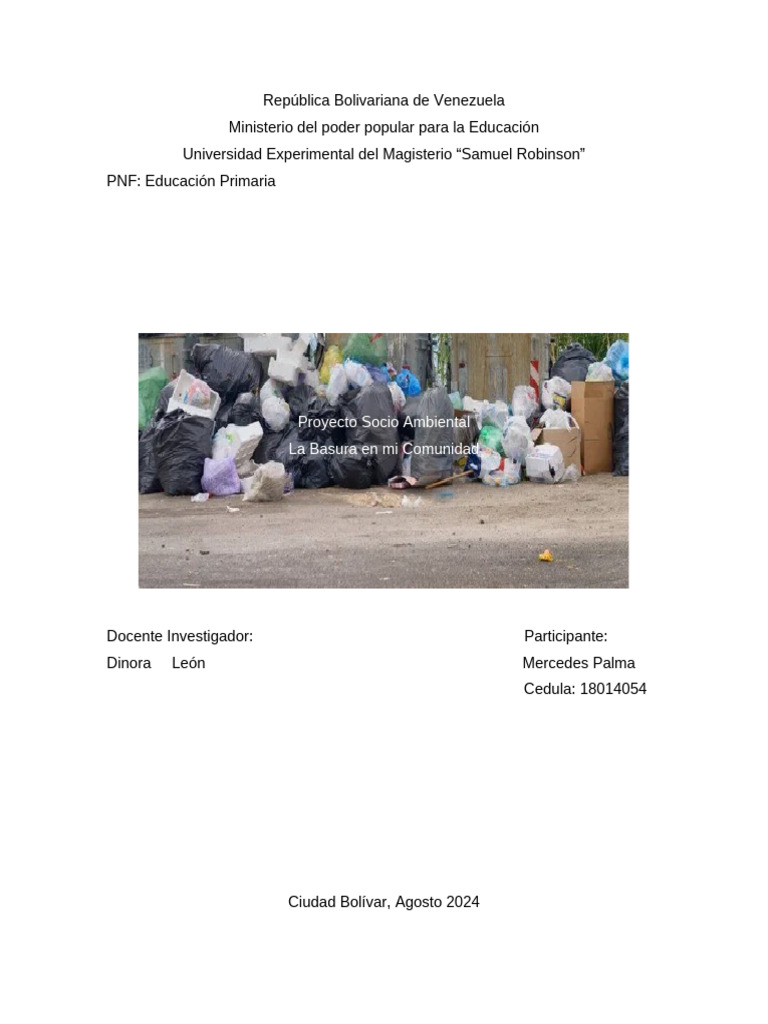 Proyecto de Manejo de Basura Comunitaria | PDF | Residuos | Contaminación