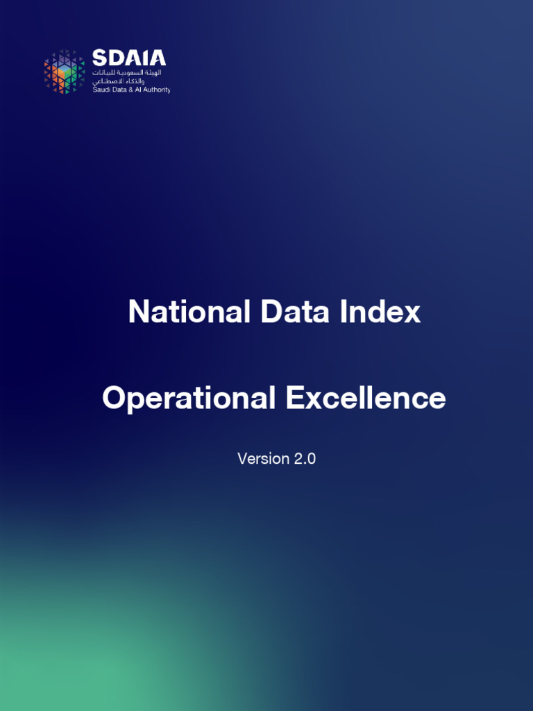Operational Excellence in National Data Index | PDF | Metadata | Data