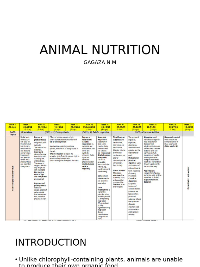 animal-nutrition-pdf-small-intestine-pancreas