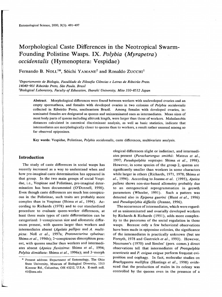 Caste Morphology in Polybia Wasps | PDF | Vespidae | Apocrita