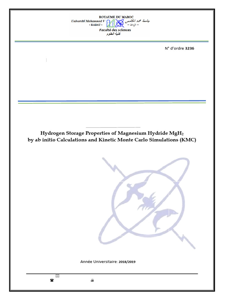 These Lakhal | PDF | Fuel Cell | Adsorption