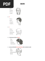 Teste MVR | PDF