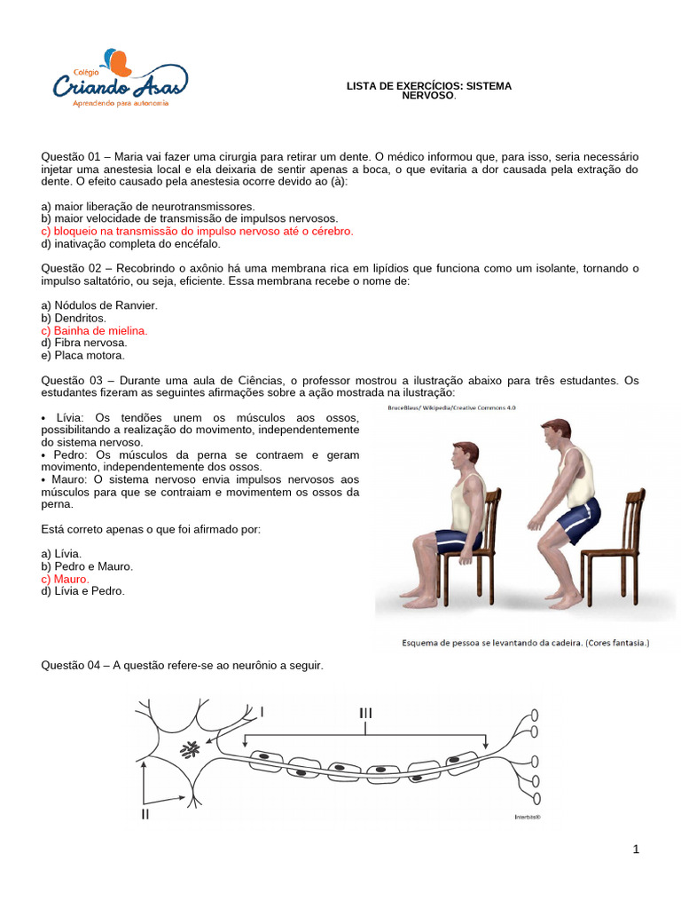 Exercícios sobre Sistema Nervoso | PDF | Neurônio | Potencial de ação