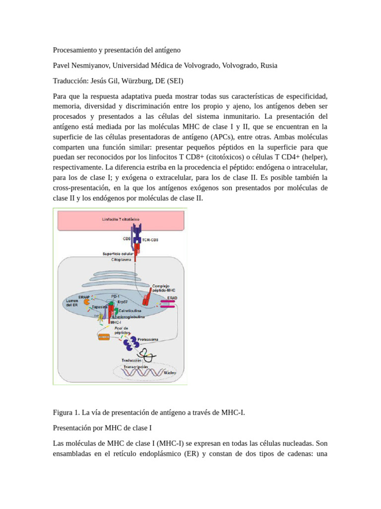 Respuesta Inmune | PDF | Sistema inmune | Mhc Clase I