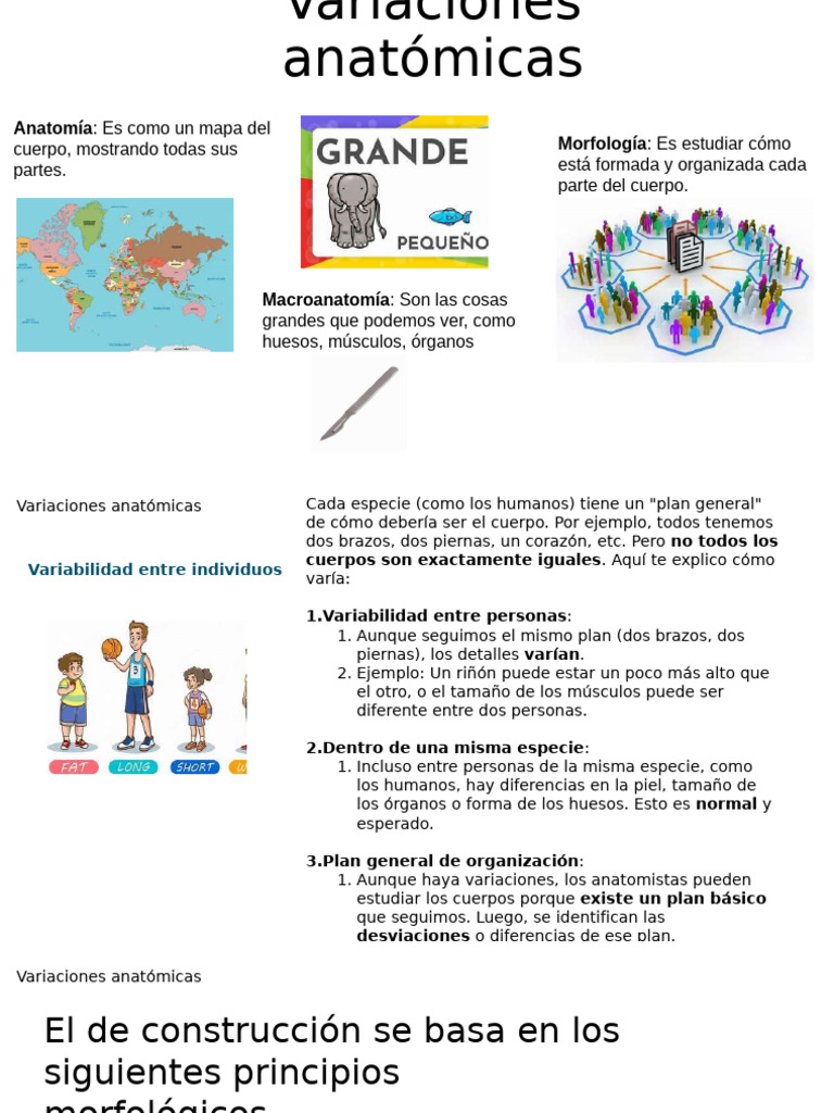 Variaciones Anatómicas en el Cuerpo Humano | PDF | Anatomía