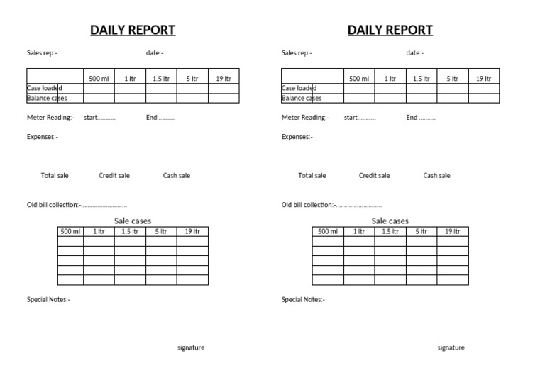 Daily Report | PDF
