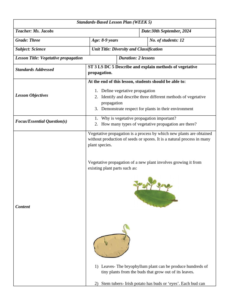 Vegetative Propagation | PDF | Plants | Botany