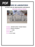 Guía: Indicador de pH con Repollo | PDF | Ácido | Sal (química)
