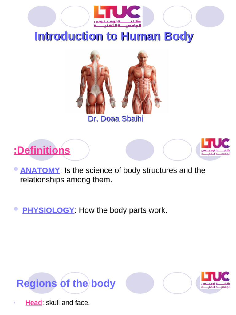 Introduction To Human Body | PDF | Social Science | Wellness