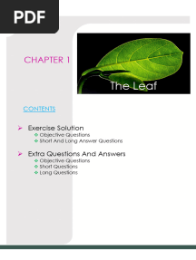 BIOLOGY Class 6 - Chapter 1 - The Leaf