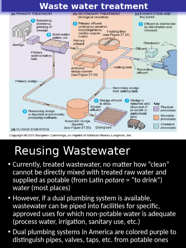 Wastewater Treatment Processes | PDF | Sewage Treatment | Water ...