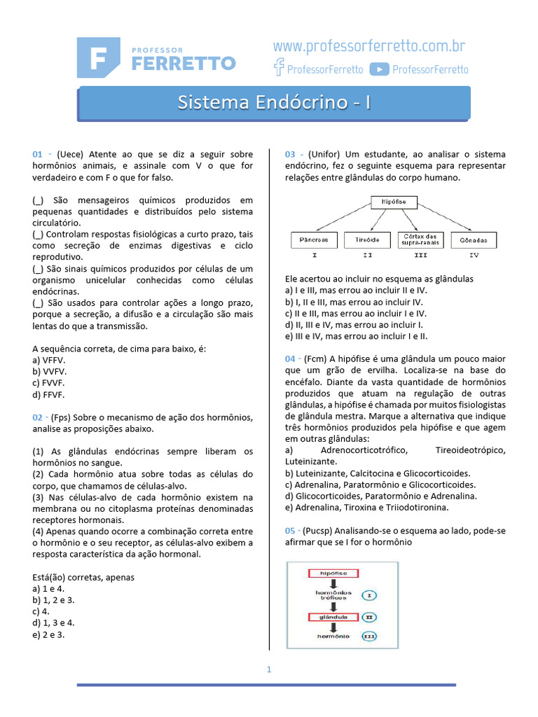 Questões sobre Hormônios e Sistema Endócrino | PDF | Glândula ...