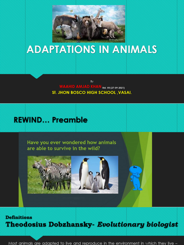 Adaptations in Animals | PDF | Science & Mathematics