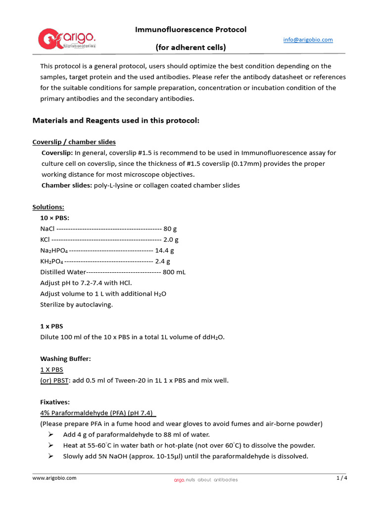 Immunofluorescence Protocol Pdf Immunofluorescence Staining