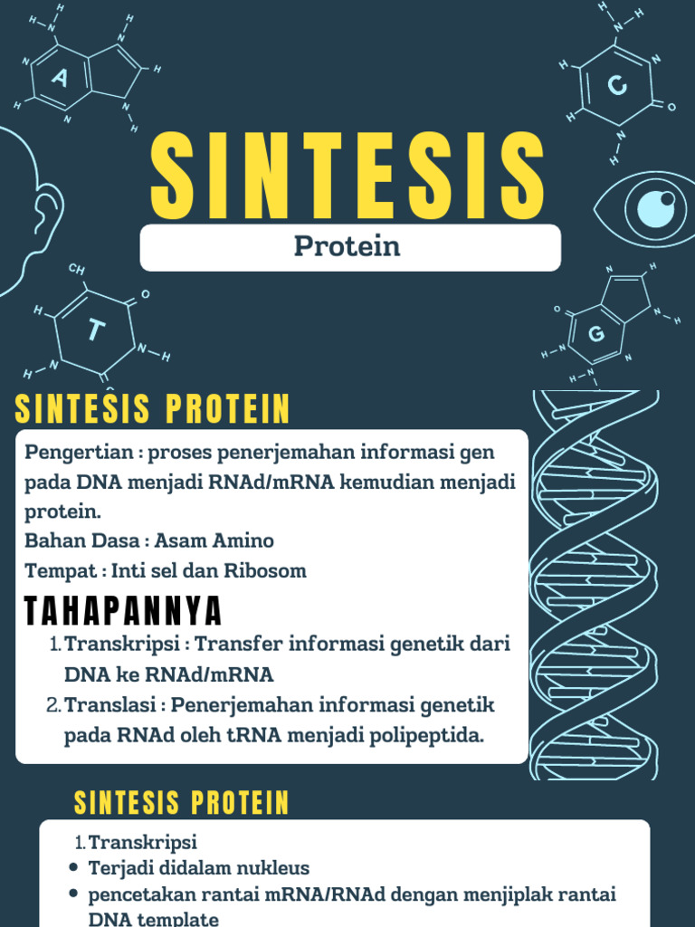 Proses Sintesis Protein dalam Sel | PDF
