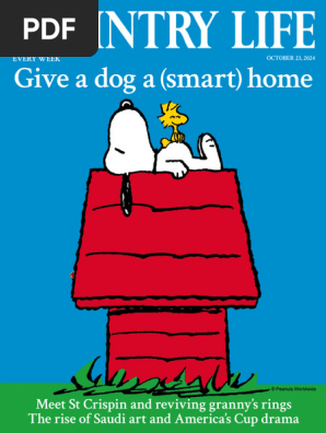 雑誌 BEAUTIFUL BRITISH COLUMBIA 31冊 カナダ 英語 Amazing Vancouver