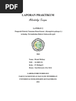 Download LAPORAN MITKE 2 by ahyar SN78666026 doc pdf