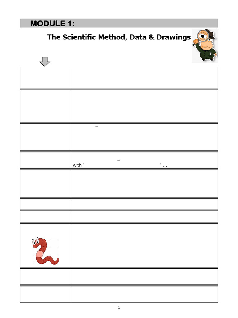 Skills Scientific Method 9 | PDF | Experiment | Scientific Method