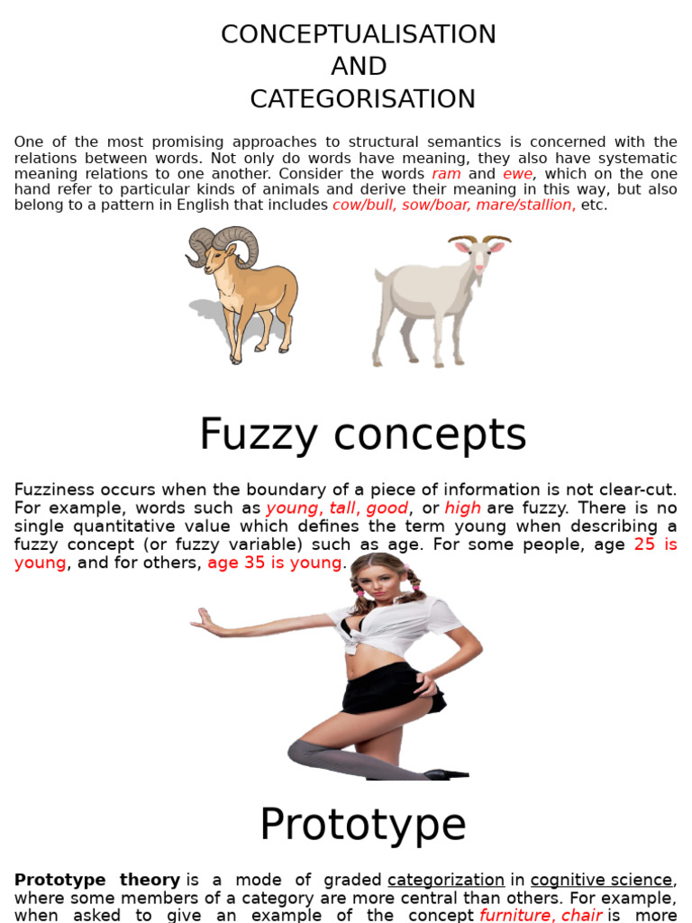 Copia de Conceptualisation and Categorisation Diego | PDF