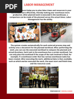 Automatic Warehouse Task Creation in EWM | PDF