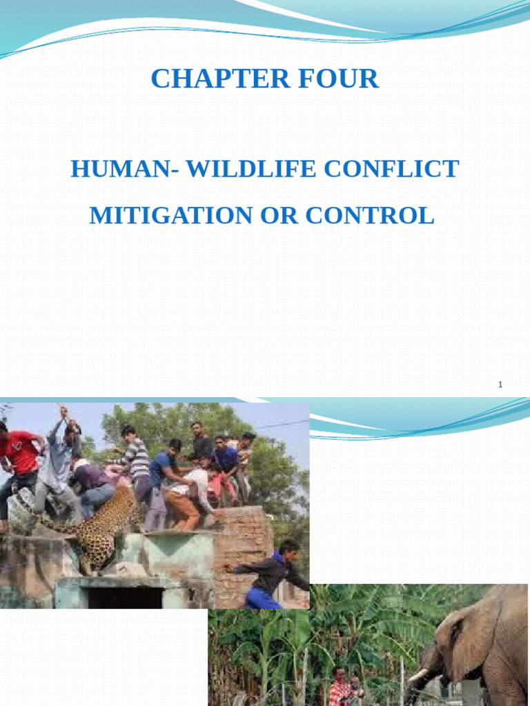 HWLC | PDF | Trapping | Policy