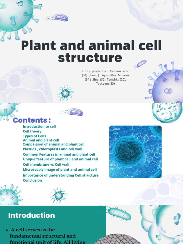 Plant and Animal Cel | PDF | Cell (Biology) | Eukaryotes