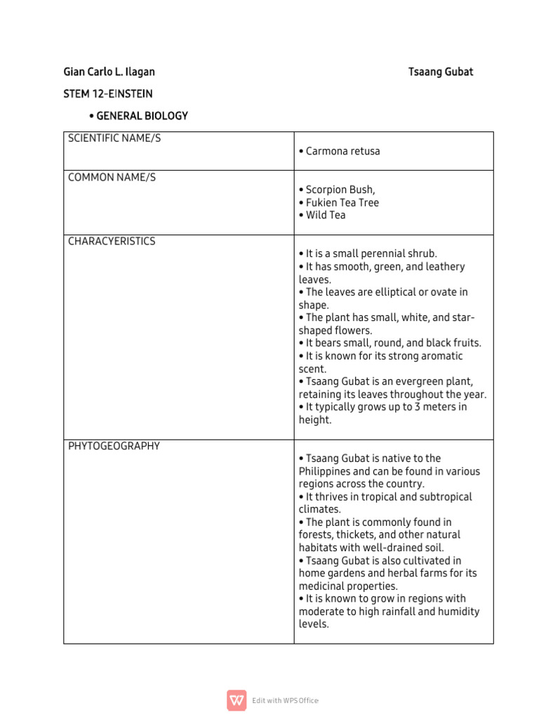 Ceen's - Tsaang gubat. 🍀 | Facebook, image size:768x1024