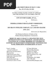 Ted Cruz Amicus Brief - LNG