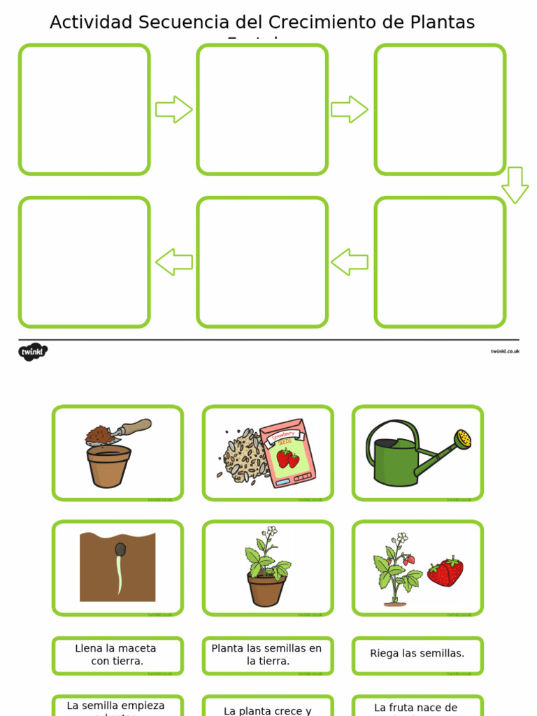 secuencia-de-crecimiento-de-plantas-para-ni-os-pdf-hogar