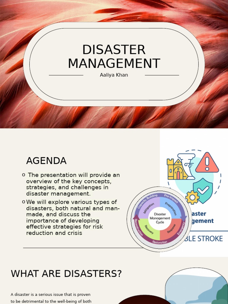 Disaster Management Pdf Natural Disasters Emergency Management