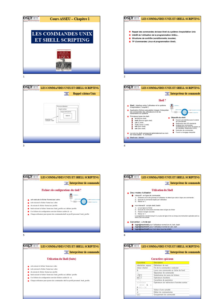 Commandes Unix et Scripting Shell | PDF | Interface en ligne de ...